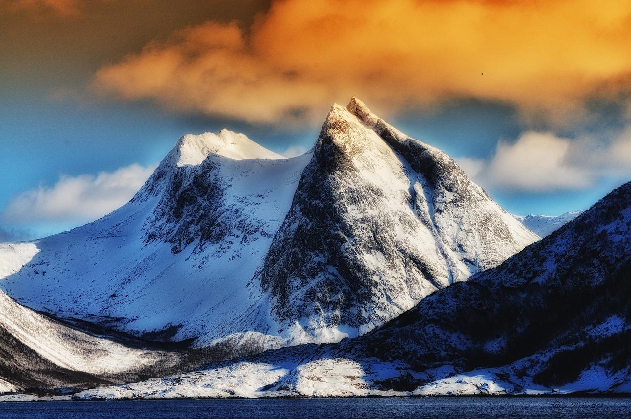 Senja Fjordhotell And Apartments Stonglandseidet Exterior photo